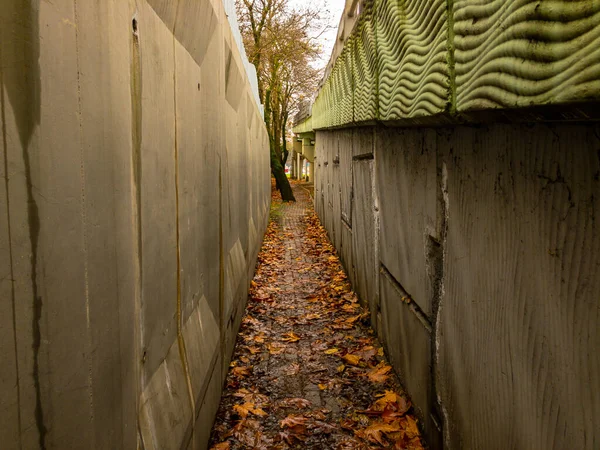 Yağmurlu bir günde yere düşen yapraklarla dar bir kaldırım taşı caddesi.