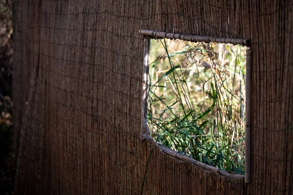 Hnědé Dřevěné Okno Spoustou Zeleně — Stock fotografie