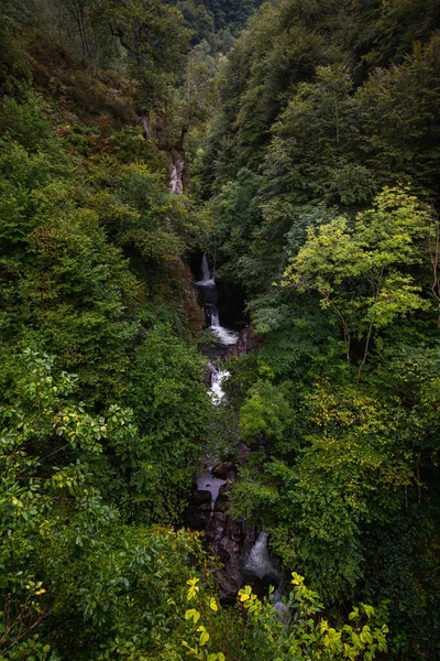 Viele Wasserfälle Zwischen Grünen Bäumen Auf Einer Klippe — Stockfoto