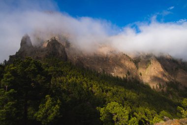 Bir dağın tepesinde, altında yeşil çam ormanı olan güneşli bulutların arasında.