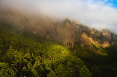 Yeşil bir çam ormanının üzerindeki güneş ışığı altındaki bulutların arasında dağ