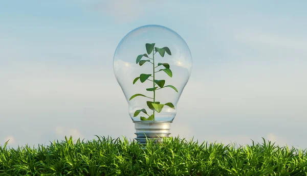 Bulbo Vidrio Suelo Lleno Vegetación Con Fondo Nubes Una Planta — Foto de Stock