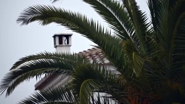 Palmové Listy Pohybují Větru Bouři Střechou Komínem Pozadí Statický Fotoaparát — Stock video