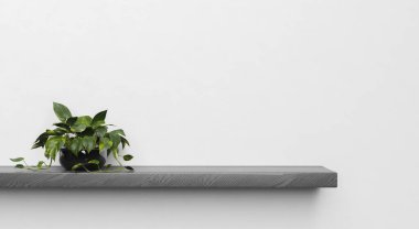 Koyu ahşap bir rafın minimalist bir sahnesi. Bir tarafında bitki var. Tasarım için yer. Ürün standı. 3d hazırlayıcı