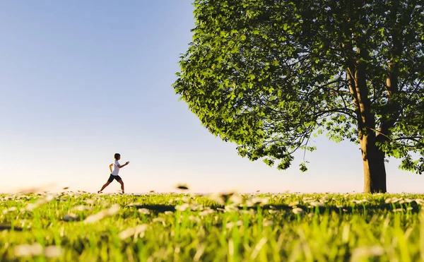 Vista Lejana Una Mujer Corriendo Través Campo Lleno Flores Gran —  Fotos de Stock