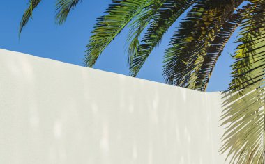 Beyaz çimento bahçe duvarı. Yansıyan havuz yakıcıları ve bir tarafında açık gökyüzü olan palmiye yaprakları. 3d hazırlayıcı