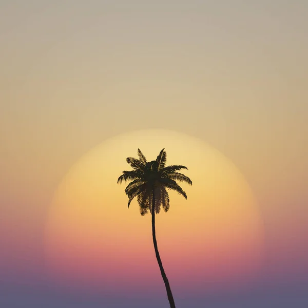 Fondo Tropical Palmera Aislada Con Cálida Puesta Sol Detrás Renderizar —  Fotos de Stock