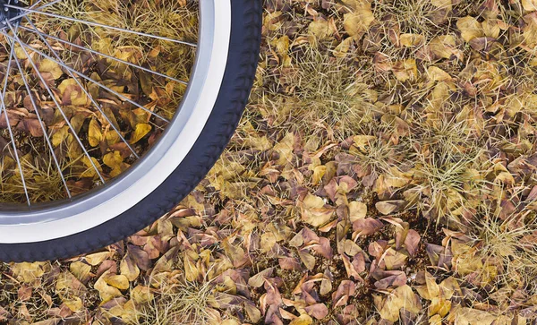 Tło Jesiennych Suchych Liści Kołem Rowerowym Jednej Stronie Koncepcja Jesiennej — Zdjęcie stockowe