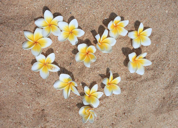 Serce z kwiatów w piasku. Walentynki Zdjęcie Stockowe