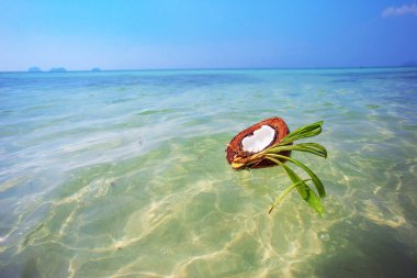 Tropikal plaj. Tayland. Koh Samui Adası. Cennet plaj.