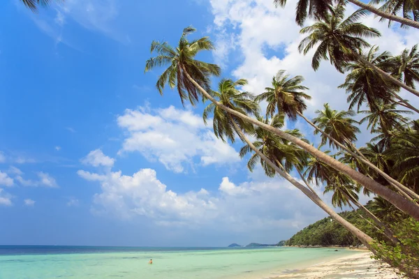 Tropischer Strand. — Stockfoto