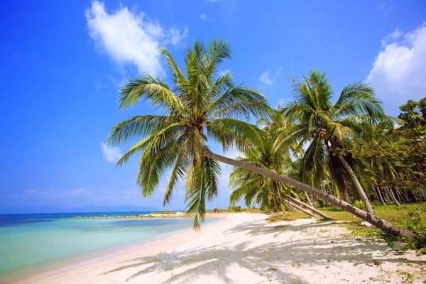 Spiaggia tropicale. — Foto Stock