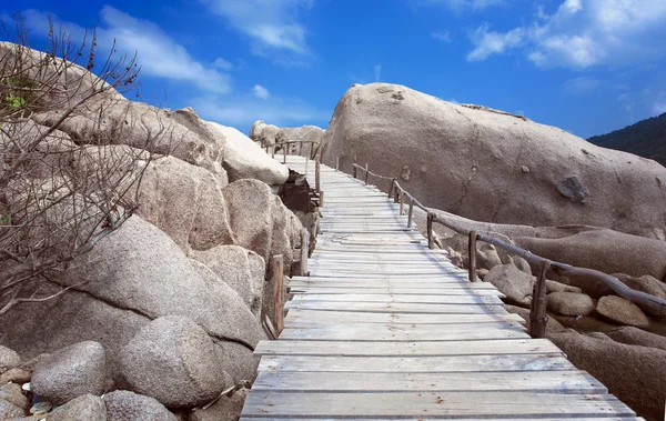 Köprüde adası Koh Nang Yuan, Tayland.