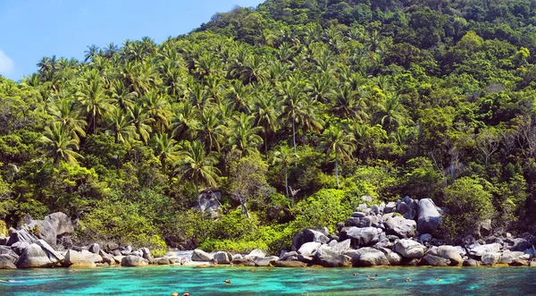 Iisland Koh Nang Yuan, Thajsko. — Stock fotografie