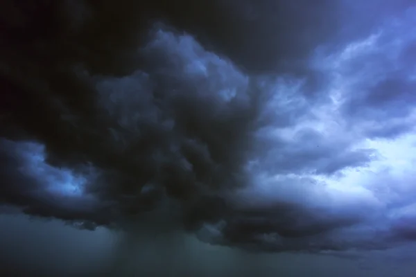 Palmiye ağacı güneşli gün ile. Koh Samui. Taling Ngam Beach