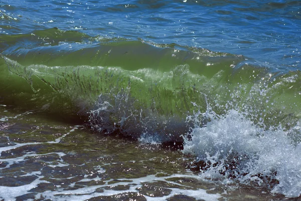 Palmeira com dia ensolarado. Koh Samui. Taling Ngam Beach — Fotografia de Stock