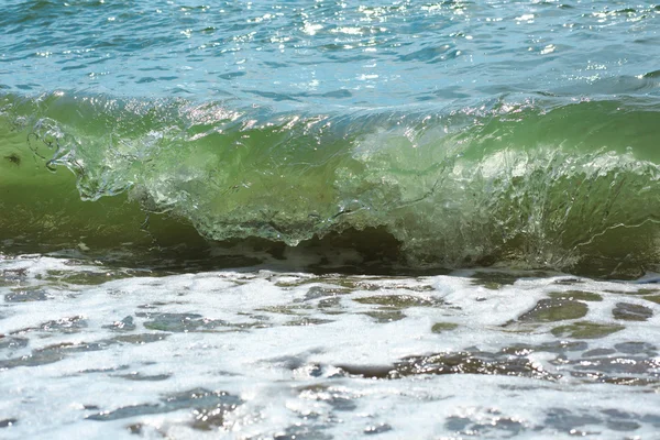 Ο φοίνικας ανεμόμυλων με ηλιόλουστη μέρα. Koh Samui. Παραλία Ταλίνγκ Νγκαμ — Φωτογραφία Αρχείου