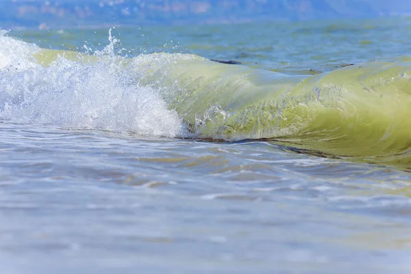 Palmiye ağacı güneşli gün ile. Koh Samui. Taling Ngam Beach — Stok fotoğraf