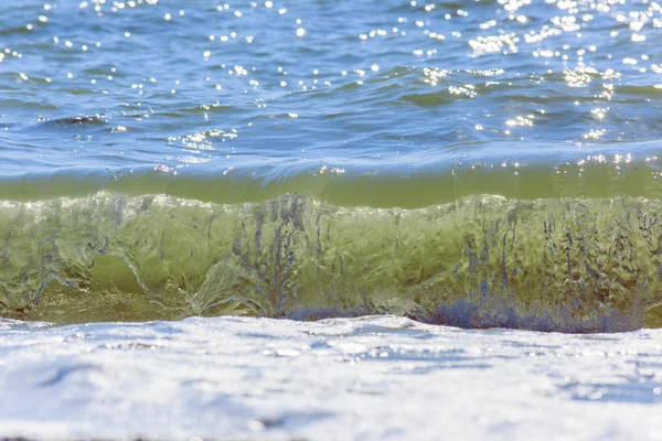 Palmboom met zonnige dag. Koh Samui. Taling Ngam Beach — Stockfoto