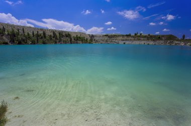 Palmiye ağacı güneşli gün ile. Koh Samui. Taling Ngam Beach