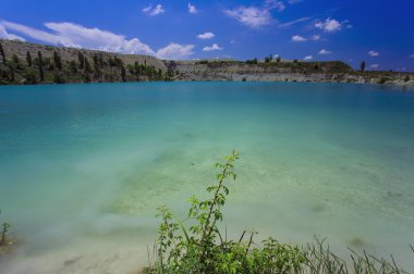 Palmiye ağacı güneşli gün ile. Koh Samui. Taling Ngam Beach
