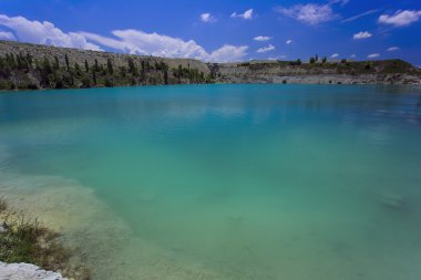 Palmiye ağacı güneşli gün ile. Koh Samui. Taling Ngam Beach