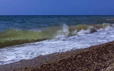 Palmiye ağacı güneşli gün ile. Koh Samui. Taling Ngam Beach