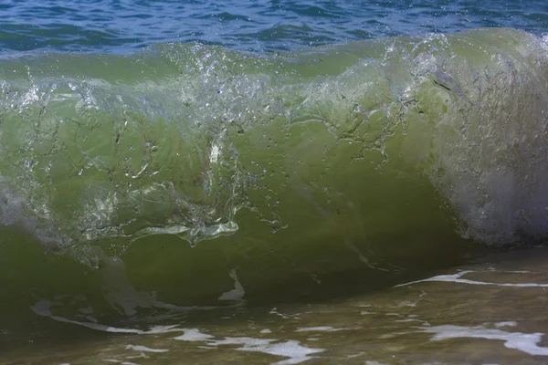 Palmowe drzewo w słoneczny dzień. Koh Samui. Taling Ngam Beach — Zdjęcie stockowe