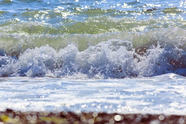 Palmeira com dia ensolarado. Koh Samui. Taling Ngam Beach — Fotografia de Stock