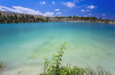 Palmiye ağacı güneşli gün ile. Koh Samui. Taling Ngam Beach