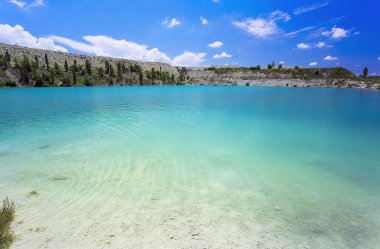 Palmiye ağacı güneşli gün ile. Koh Samui. Taling Ngam Beach