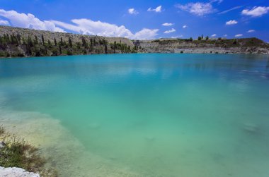 Palmiye ağacı güneşli gün ile. Koh Samui. Taling Ngam Beach