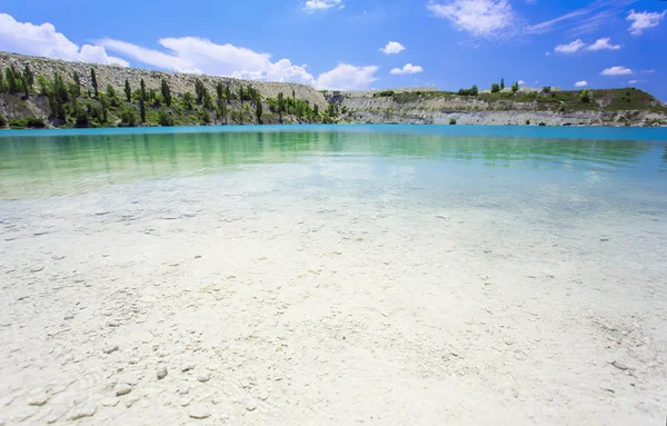 Palmiye ağacı güneşli gün ile. Koh Samui. Taling Ngam Beach