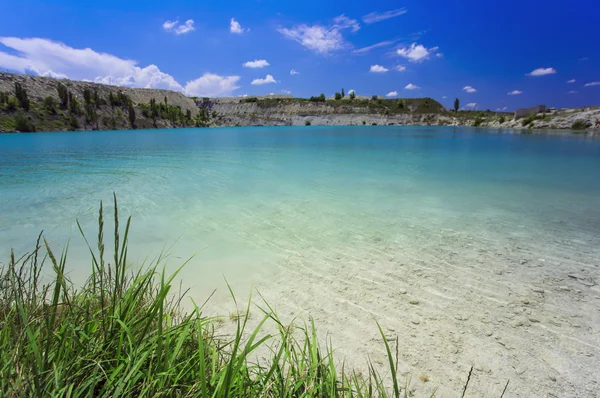 晴れた日のヤシの木。サムイ島。タリンガム ビーチ — ストック写真