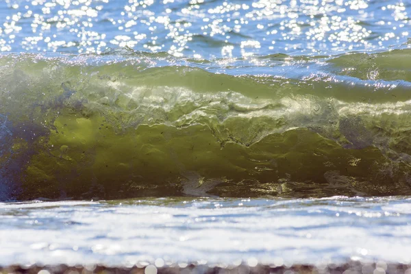 晴れた日のヤシの木。サムイ島。タリンガム ビーチ — ストック写真