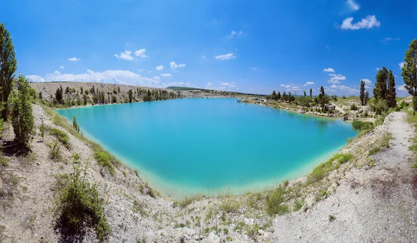 Palmiye ağacı güneşli gün ile. Koh Samui. Taling Ngam Beach