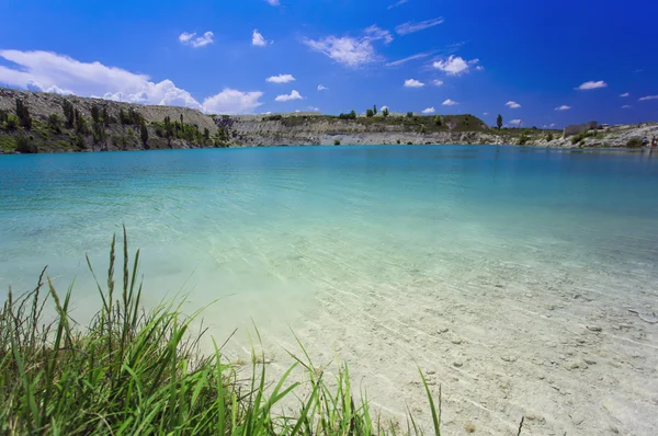 Palmowe drzewo w słoneczny dzień. Koh Samui. Taling Ngam Beach Obrazy Stockowe bez tantiem