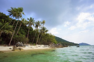 Palmiye ağaçları ile güneşli bir gün. Taling Ngam Beach. Koh Samui Adası. Tayland.