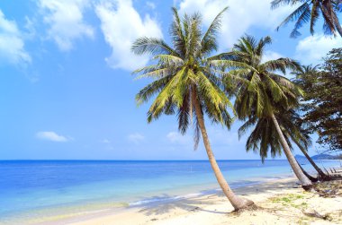 Bang Por, Koh Samui'nın kuzey kıyılarında tropikal plaj. Tayland. Koh Samui Adası