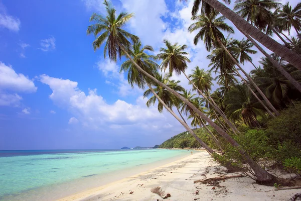 Taling Ngam Beach. Wyspa Koh Samui. Tajlandia. — Zdjęcie stockowe