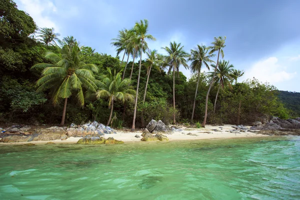 Palmiye ağacı güneşli gün ile. Taling Ngam Beach. Koh Samui Adası. Tayland.