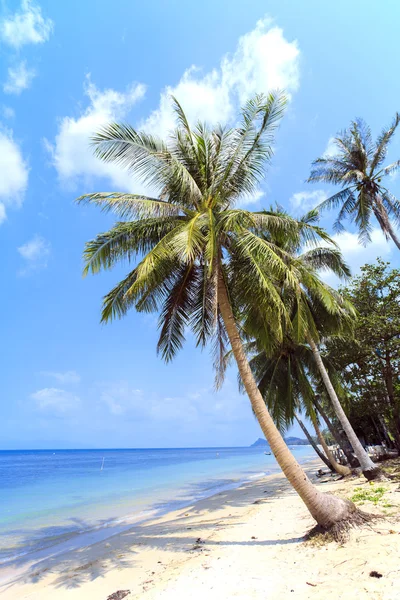 Bang Por, Koh Samui'nın kuzey kıyılarında tropikal plaj. Tayland. Koh Samui Adası