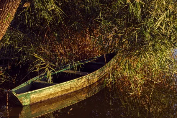 Boat in the reeds at sunset — Stock Photo, Image