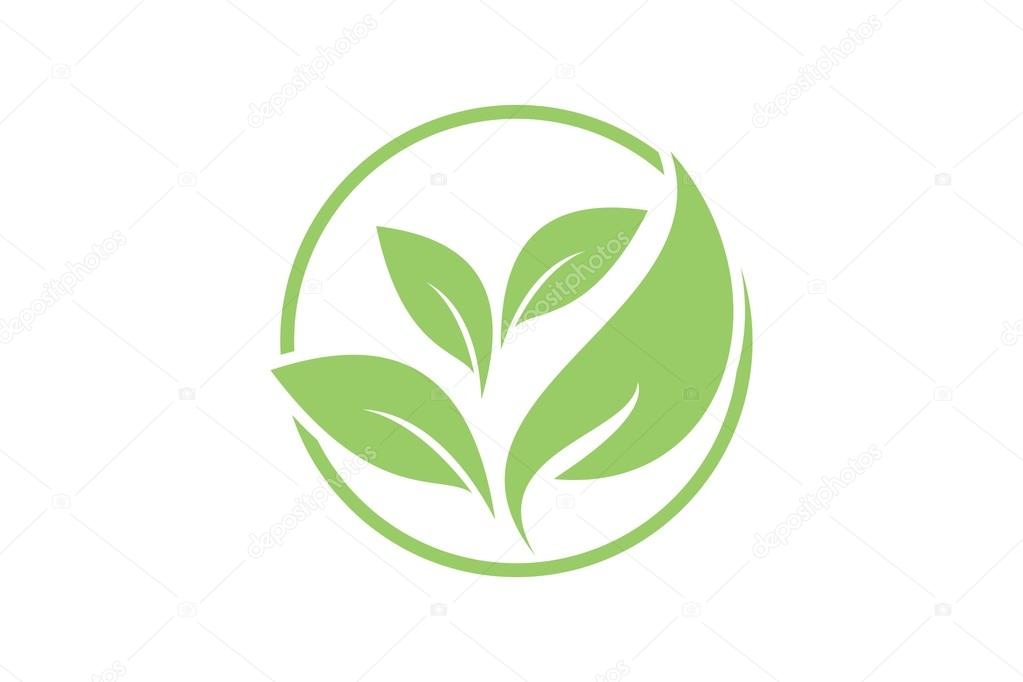 Leaf Logo Template