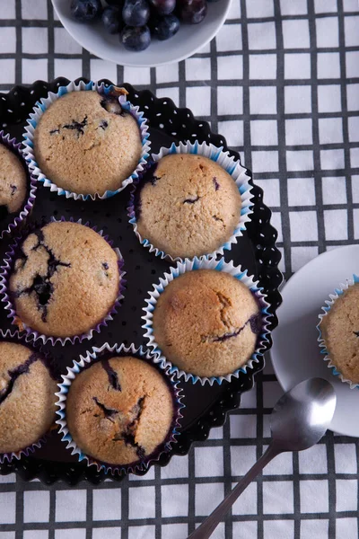 Heerlijke Zelfgemaakte Cupcakes Gevuld Met Bosbessen Gepresenteerd Kleine Schimmels — Stockfoto