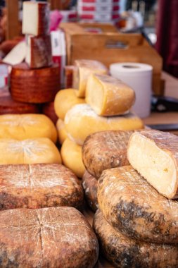 Çiftçi Pazarı 'ndaki Peynir Çeşitliliği