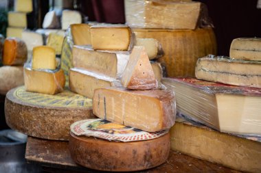 Bölgeden çeşitli peynirlerin sergilenmesi