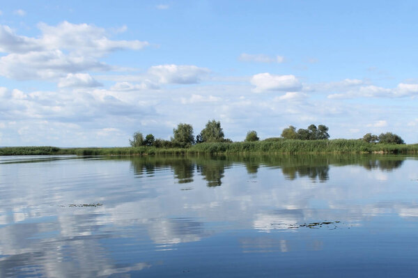 Islands with reeds and trees in the channels of the Volga river