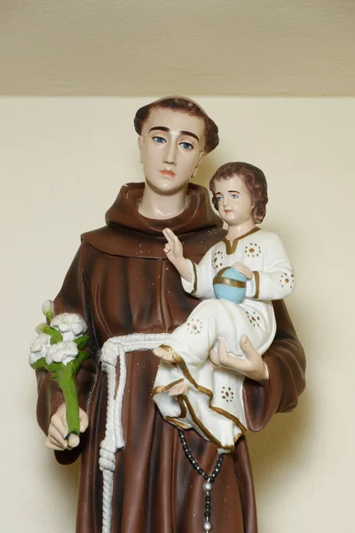 Sint Antonius Van Lissabon Sint Antonius Van Padua Baby Jezus — Stockfoto
