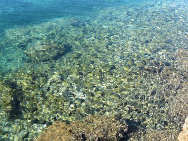 arka plan - taş kabukları ve kum deniz yatağı